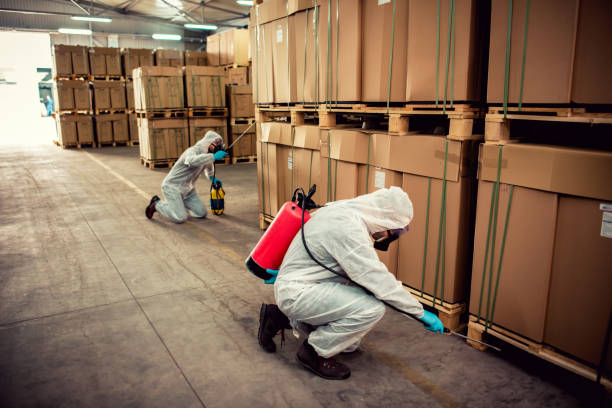 Best Affordable Pest Control Services  in Los Alamos, NM