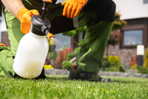 Los Alamos, NM Pest Control Company