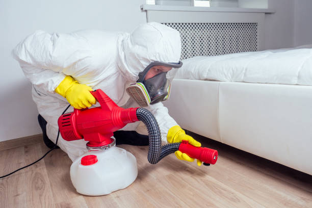 Best Emergency Pest Control  in Los Alamos, NM
