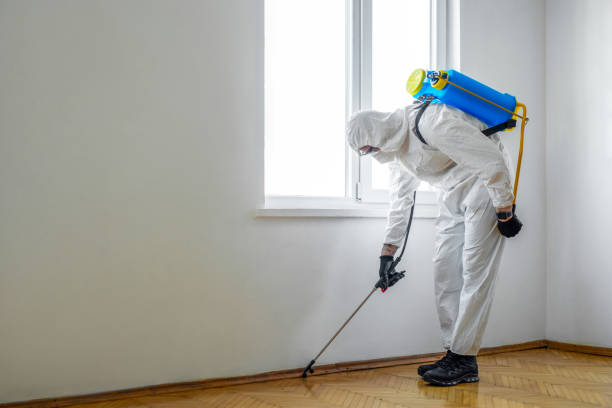 Best Commercial Pest Control Services  in Los Alamos, NM