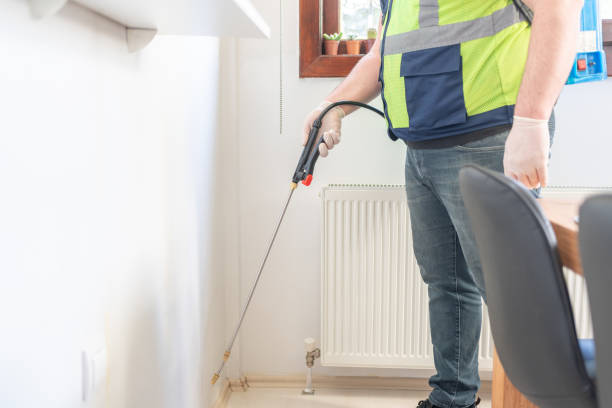 Best Local Pest Control Services  in Los Alamos, NM
