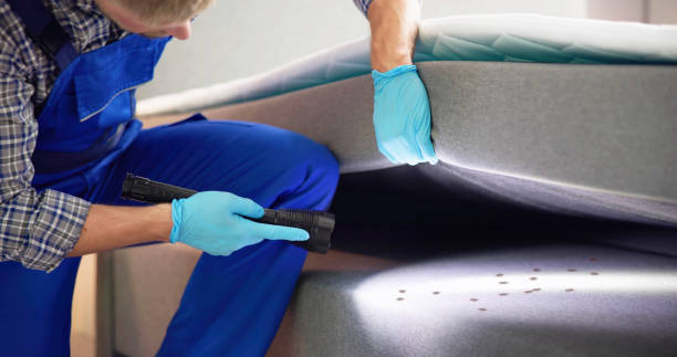 Best Cockroach Control Services  in Los Alamos, NM