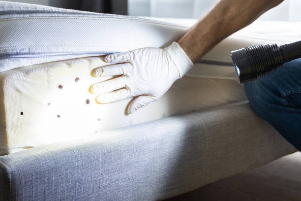 Best Exterminator Services  in Los Alamos, NM