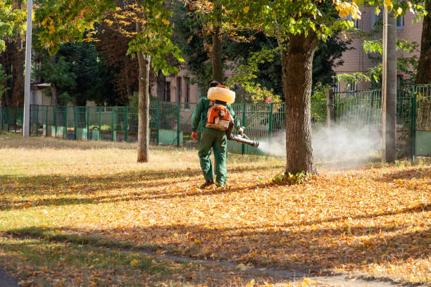 Best Mosquito Control Services  in Los Alamos, NM