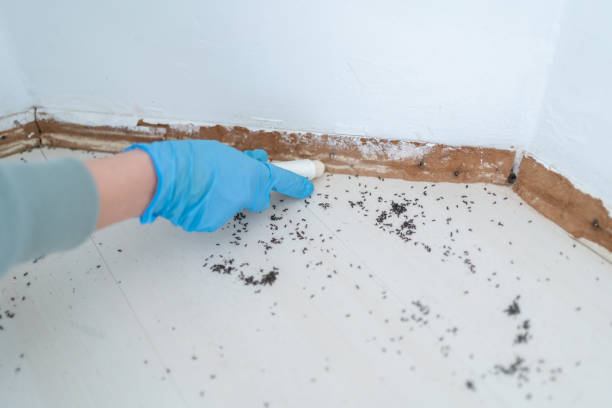 Wildlife Control Services in Los Alamos, NM