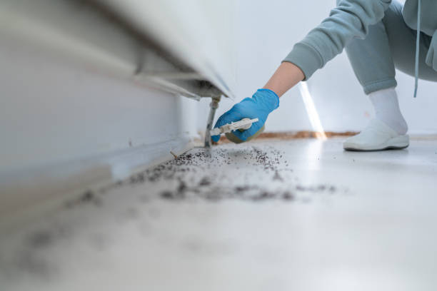Best Pest Removal Services  in Los Alamos, NM