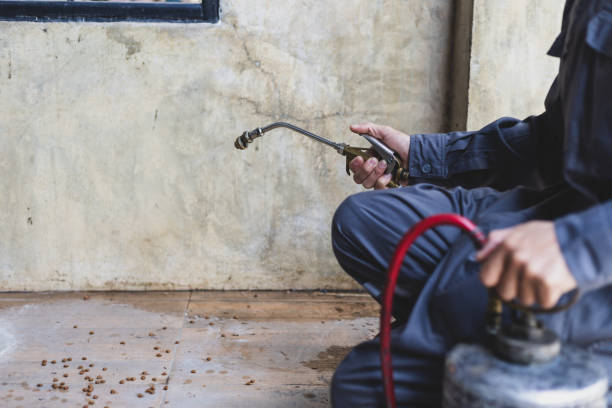 Best Affordable Pest Control Services  in Los Alamos, NM