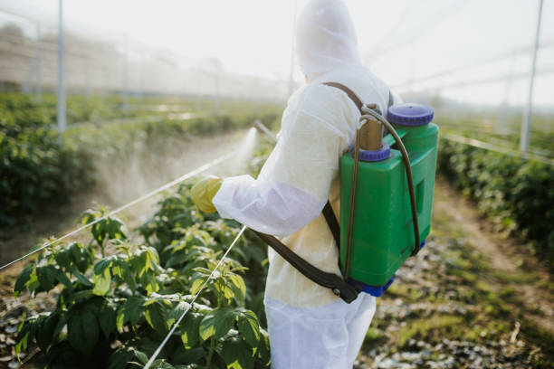 Best Pest Removal Services  in Los Alamos, NM